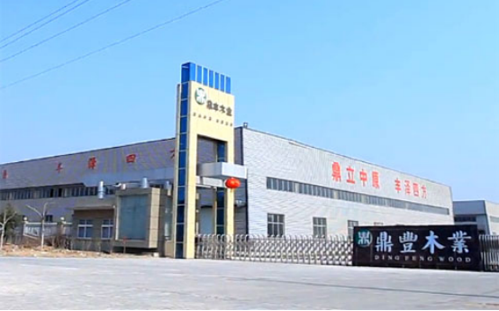 【专访】九游会股份副总经理陈晓东：灵活布局发掘强劲产能 助力项目成果“落地生金”